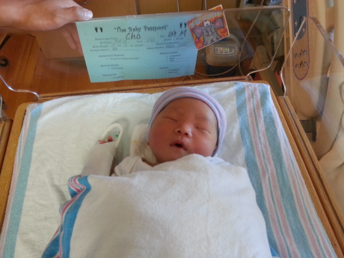 20120929_125228 [800x600].jpg